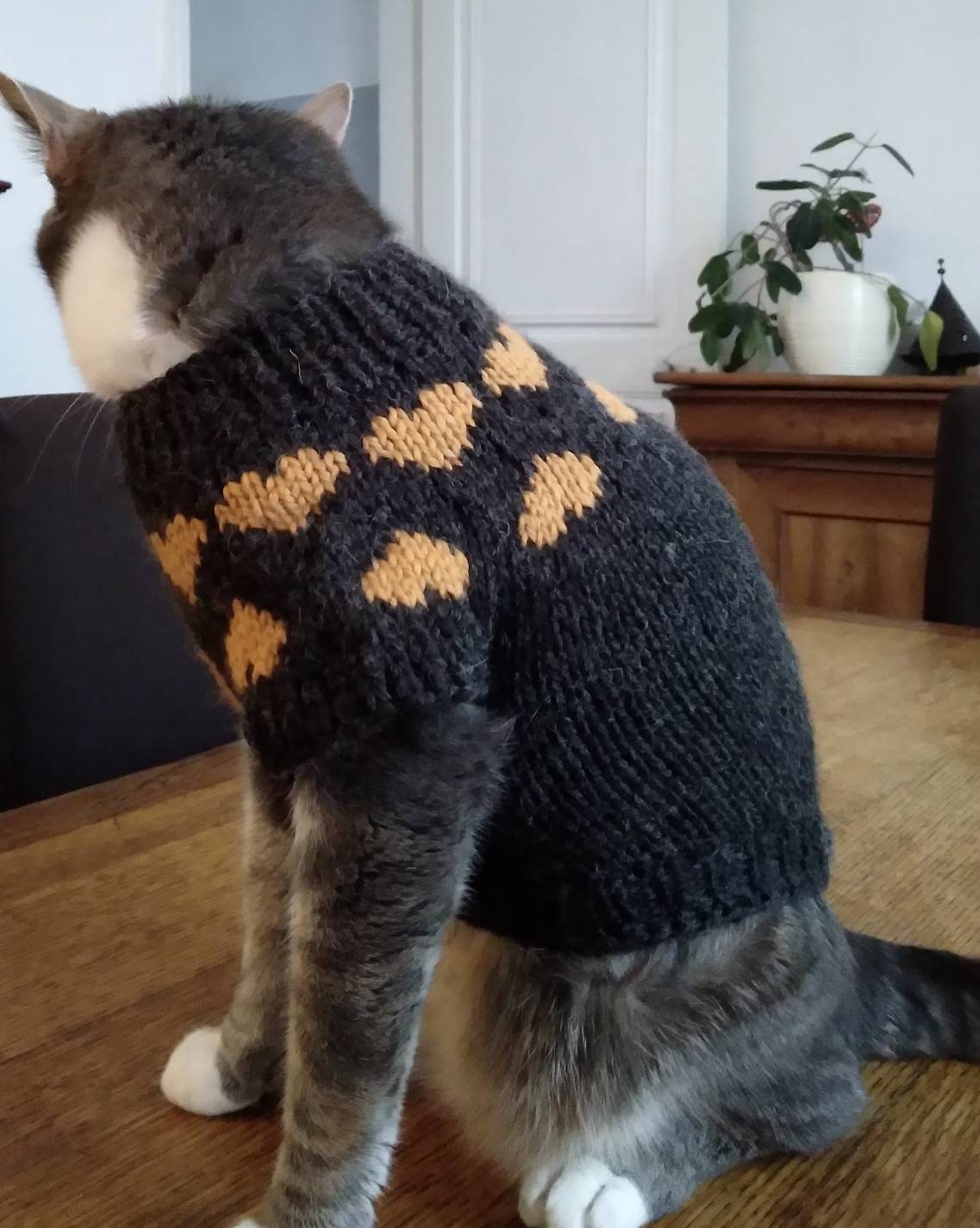 Pull Petit Chien ou Chat avec Coeurs en Jacquard