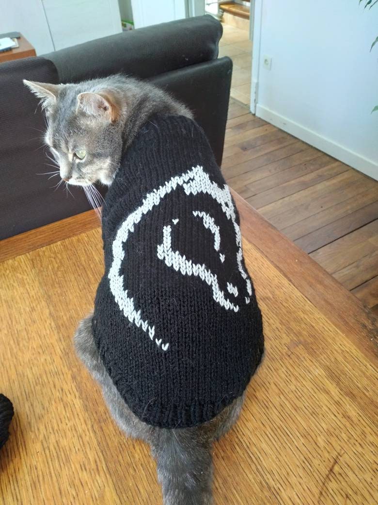 Pull Petit Chien ou Chat Broderie Cheval