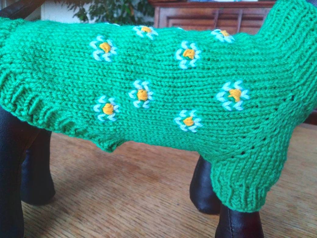 Pull Petit Chien ou Chat Pâquerettes 