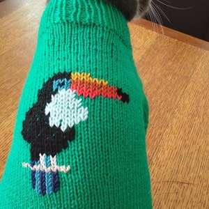 May include: A gray cat wearing a green knitted sweater with a toucan design. The toucan is embroidered in black, white, blue, orange, and red.