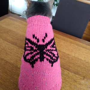 Puede incluir: Un suéter de punto rosa para gato con un diseño de mariposa negra. El suéter tiene un patrón moteado.