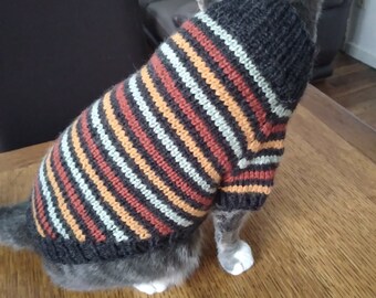 Pull rayé pour chat frileux ou petit chien