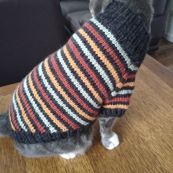 Pull rayé pour chat frileux ou petit chien