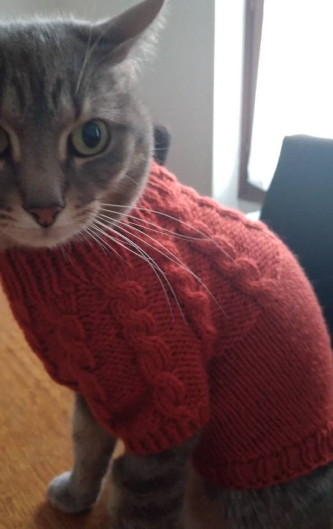 Pull Pour Petit Chien Ou Chat Etsy