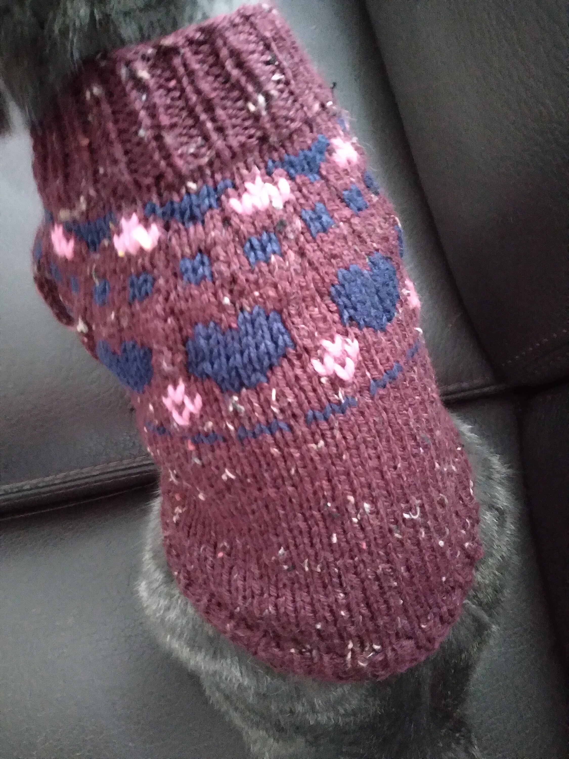 Pull Petit Chien ou Chat Sphynx