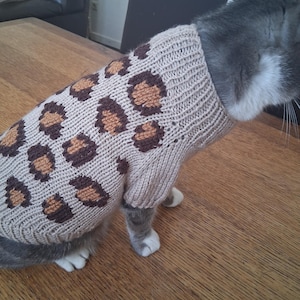 Puede incluir: Un gato gris con un suéter beige tejido con manchas de leopardo marrones. El suéter tiene cuello y mangas de canalé. El gato está sentado en una mesa de madera.