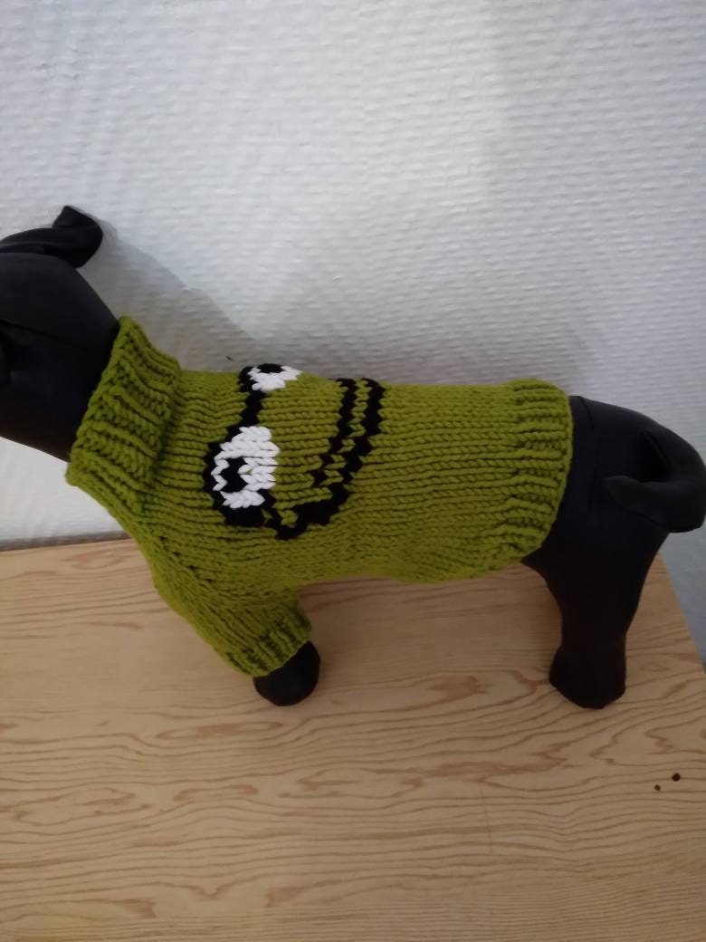 Pull Chihuahua ou Yorkshire