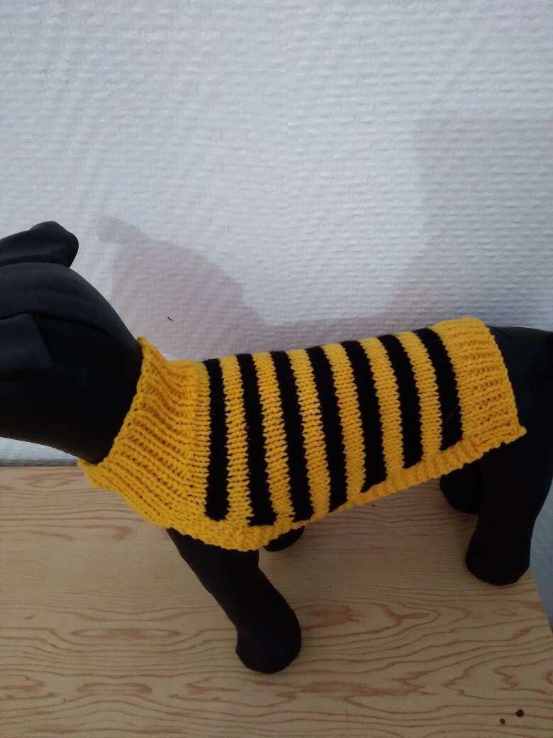 Pull Chihuahua ou Yorkshire