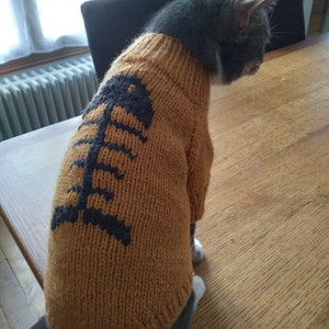 Könnte beinhalten: Eine graue Katze trägt einen braunen Strickpullover mit einem schwarzen Fischgrätenmuster. Die Katze sitzt auf einem Holztisch.