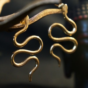 Könnte beinhalten: Ein Paar goldene Schlangenohrringe. Die Ohrringe hängen an einem Lederband.