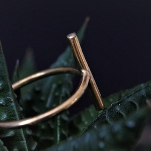 Könnte beinhalten: Ein goldfarbener Ring mit einem einfachen, geraden Balken-Design. Der Ring liegt auf einer grünen Pflanze.