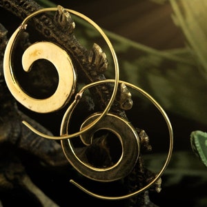 May include: Two gold spiral hoop earrings with a simple design. The earrings are hanging from a branch.
