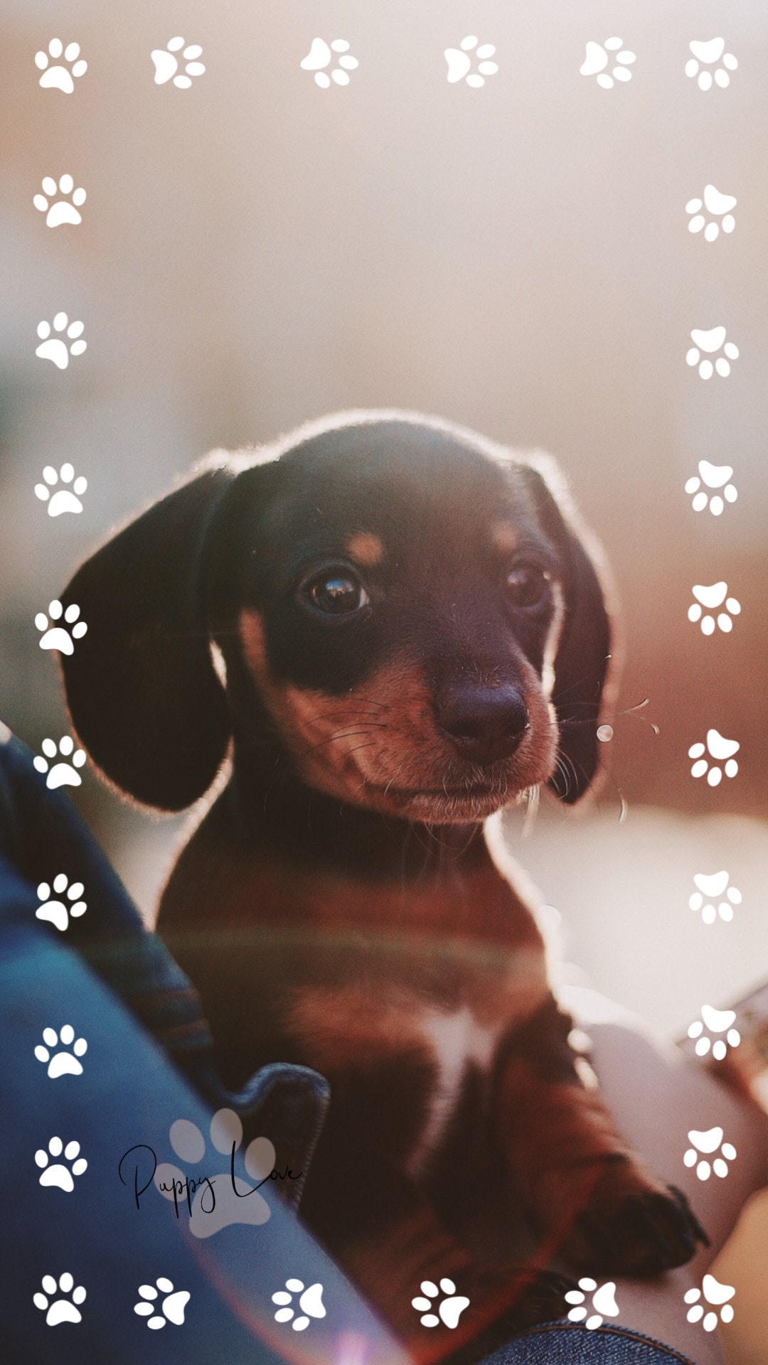 Instagram Story Sticker Hund &amp; Welpe 50 Stück Schrift Etsy