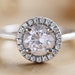 see more listings in the ROUND & ROSECUT section