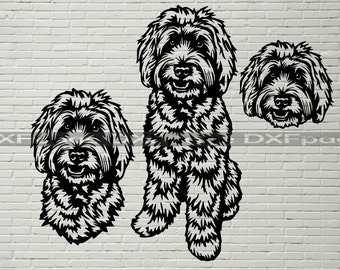 Download Labradoodle Svg Etsy