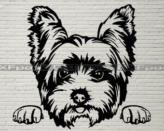 Download Yorkie Svg Etsy