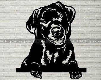 Download Black Lab Svg Etsy