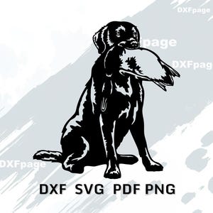 Può includere: Illustrazione in bianco e nero di un Labrador Retriever seduto che tiene un uccello in bocca. L'immagine include il testo "DXF SVG PDF PNG" in basso, su uno sfondo grigio chiaro.