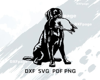 Jagdhund SVG für Laser Cut, Labrador mit Ente DXF, Jäger Geschenk Wandkunst, Vogel Hund Silhouette, Retriever Clipart für Cricut,Plasma-Schnitt