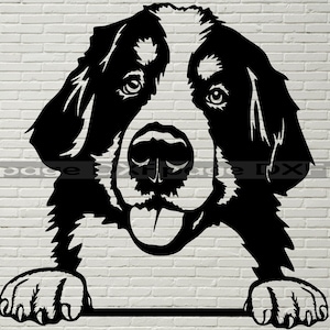Berner Berg Hund SVG, Silhouetten Dxf, SVG für Cricut, Hund Clipart geschnitten Datei, Vektor-Porträt, Vinyl-Shirt-Design, Dxf-Datei für Laser-Cnc
