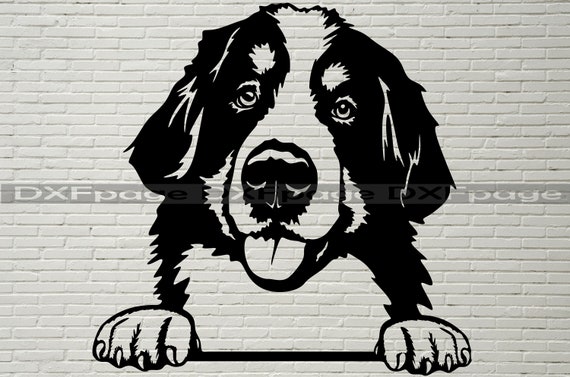 Free Free 199 Bernese Mountain Dog Svg SVG PNG EPS DXF File