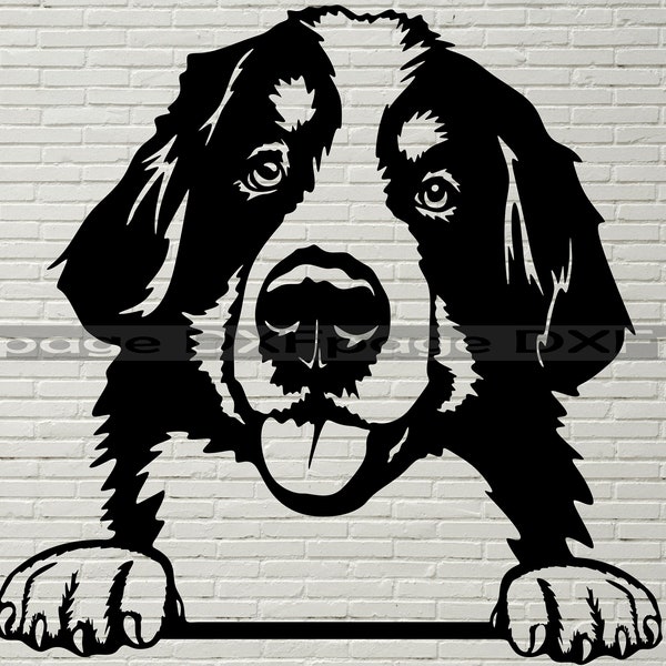Bernese Mountain Dog SVG, Silhouettes dxf, SVG for Cricut, dog clipart Cut file, vector portrait, vinyl shirt design, dxf file for laser cnc