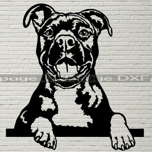 American Staffordshire Terrier SVG, Silhouettes dxf, Dog Peeking SVG per Clipart Cricut, file laser Cut, ferro da stiro, vettore, design camicia in vinile