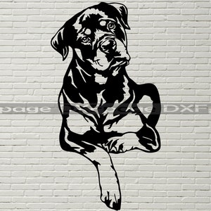 Rottweiler SVG, Silhouetten Dxf, Hund SVG-Dateien für Cricut, Rottweiler Clipart, Hund geschnitten Datei, Holz Laser geschnitten Kunst, Vektor-Vinyl-Shirt-Design