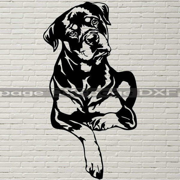 Rottweiler SVG, Silhouettes dxf, Dog SVG Files for Cricut, Rottweiler clipart, dog Cut file, wood laser cut art, vector vinyl shirt design