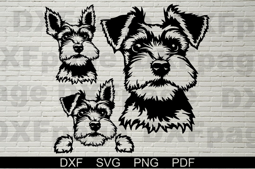 Schnauzer Dogs SVG for Cricut, Silhouette Dxf, Miniature