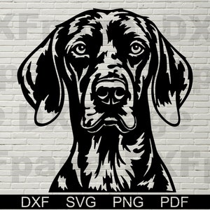 Peut inclure: Silhouette noire et blanche de la tête d'un Braque allemand à poil court. Le chien regarde directement le spectateur, les oreilles dressées.