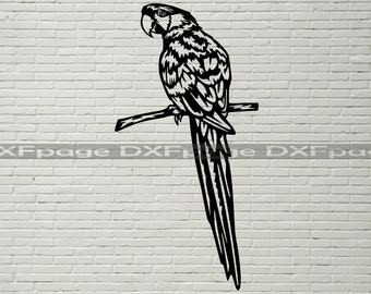 Parrot Svg, Exotic bird svg, Macaw svg, Silhouette dxf, cricut svg, bird Clipart, laser cut file, vector bird on a branch, dxf plasma cnc