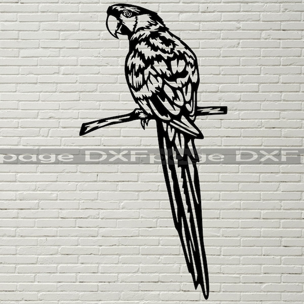 Parrot Svg, Oiseau exotique svg, Ara svg, Silhouette dxf, cricut svg, oiseau Clipart, fichier découpé au laser, oiseau vecteur sur une branche, plasma cnc dxf