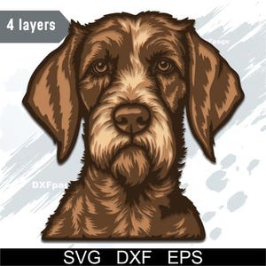 May include: A detailed illustration of a brown and tan Wirehaired Pointing Griffon dog. The image features the dog's head and shoulders, with text that reads "4 layers", "DXFpage", and "SVG DXF EPS". The dog has a shaggy coat and a focused expression.