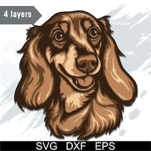 May include: A digital illustration of a smiling dachshund dog with long, floppy ears. The dog is depicted in shades of brown and tan, with a detailed rendering of fur and facial features. The image includes the text "4 layers" and "SVG DXF EPS".