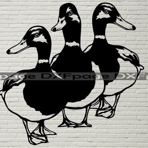 May include: Black and white silhouette of three ducks with their heads turned in different directions. The ducks are facing the right side of the image.