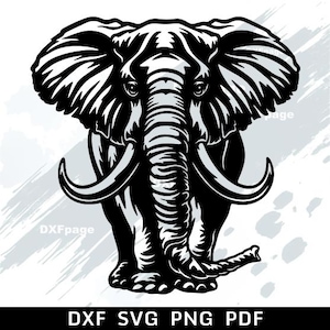 May include: A black and white illustration of an elephant facing forward, with large ears, tusks, and a detailed trunk. The image includes the text "DXF SVG PNG PDF" at the bottom, suggesting digital file formats.