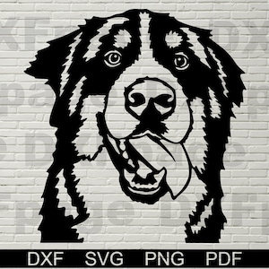 Berner Berg SVG-Dateien für Cricut, Hunde Gesicht Cut-Datei, Kopf, Rasse Clipart Dxf, Vektor, PNG Download, Shirt svg, printable Kunst Schnitt
