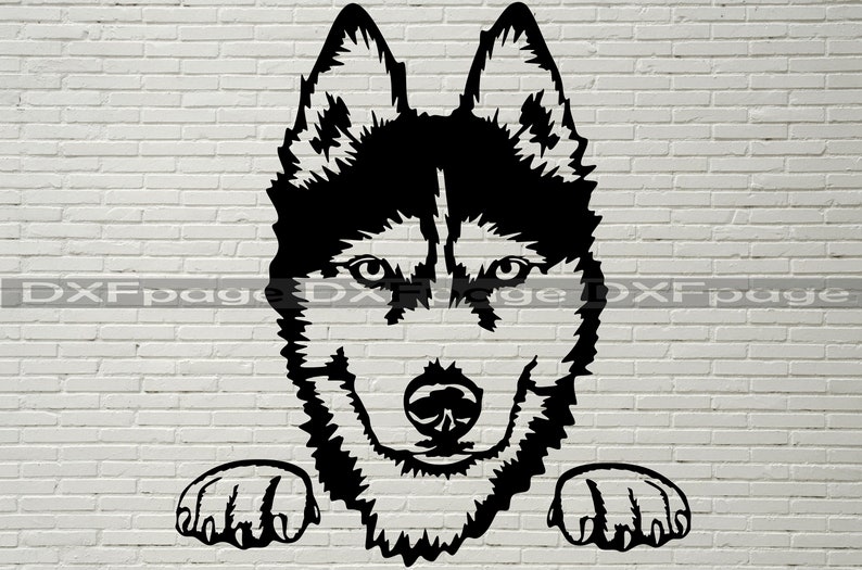 Download Husky Peeking SVG Silhouettes dxf Siberian Husky SVG for | Etsy
