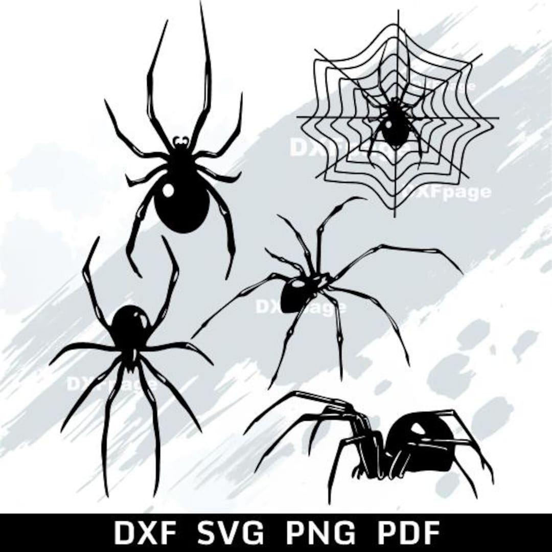 Spider SVG Bundle Laser Cut, Halloween SVG, Spider Web, Cricut