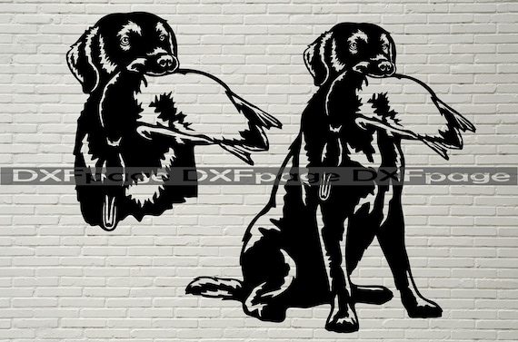 Duck Hunting Do Pudelpointers Shed Pudelpointer Puppy Illinois