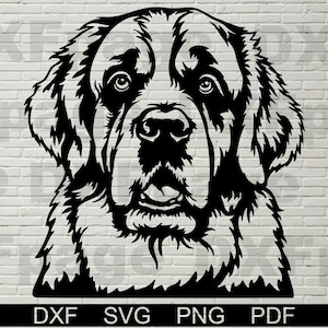 Bernhardiner SVG für Cricut, Silhouette dxf, Bernhardiner Clipart, PNG Schneidedatei, Schilder, Hundevektor, Vinyl-Shirt-Design, cnc
