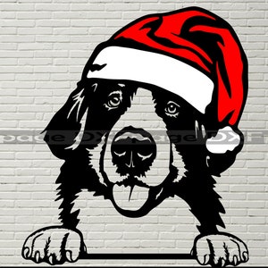 Weihnachten Berner Berg Hund SVG, Santa Hut SVG für Cricut, Weihnachten lustige Hund Clipart geschnitten Datei, Vektor-Porträt, Xmas Vinyl-Shirt-Design