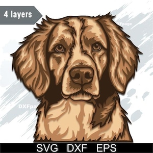 Epagneul Breton multistrato SVG, DXF tagliato al laser, cane 3D, compensato per cani a strati, taglio della carta, CNC, Cricut, mandala, modello decorativo in legno