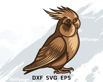 PAPAGEI multilayer SVG, DXF Laserschnitt, 3D Vogel, Sperrholz, Papierschnitt, cnc, Cockatiel Cricut, Mandala, Holzdeko Vorlage