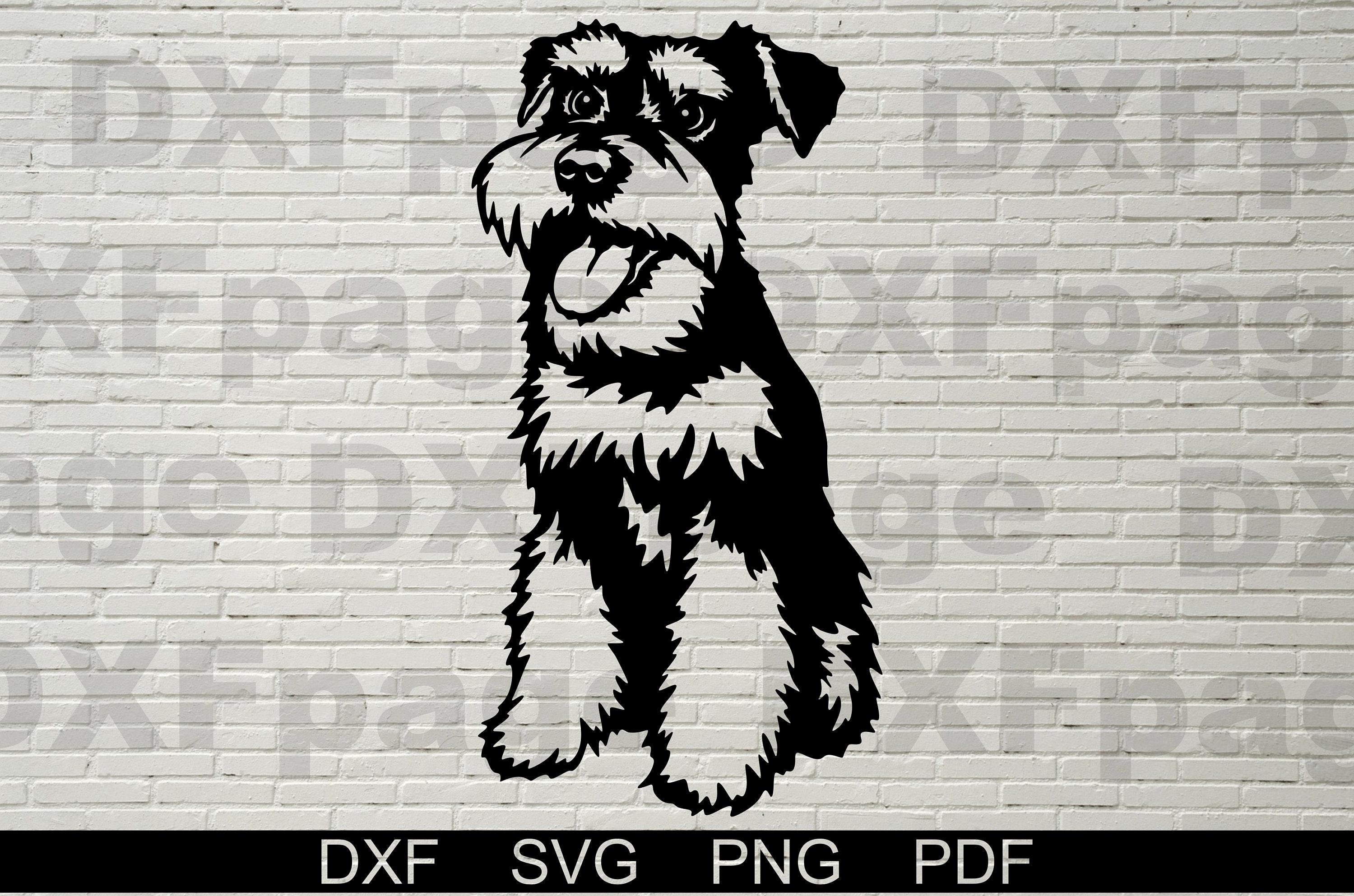 Miniature Schnauzer Peeking SVG: Dog Clipart, Vector Cut File