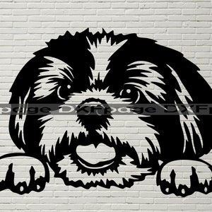 Shih tzu SVG Cricut, Silhouette dxf, Shih tzu cane clipart Cut file, ritratto vettoriale di legno, design della camicia in vinile. File DXF per CNC laser