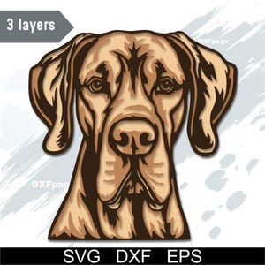 May include: A detailed illustration of a dog's head, featuring a light brown coat with darker brown accents. The image is labeled "3 layers" and includes the file type options: SVG, DXF, and EPS.