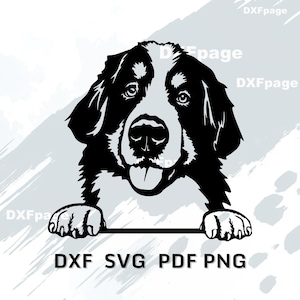 Bernerberg SVG, kikarhund laserskuren DXF, valp husdjur Clipart för Cricut, vinyldekaldesign, hundmamma present PNG, Glowforge, xTool-fil