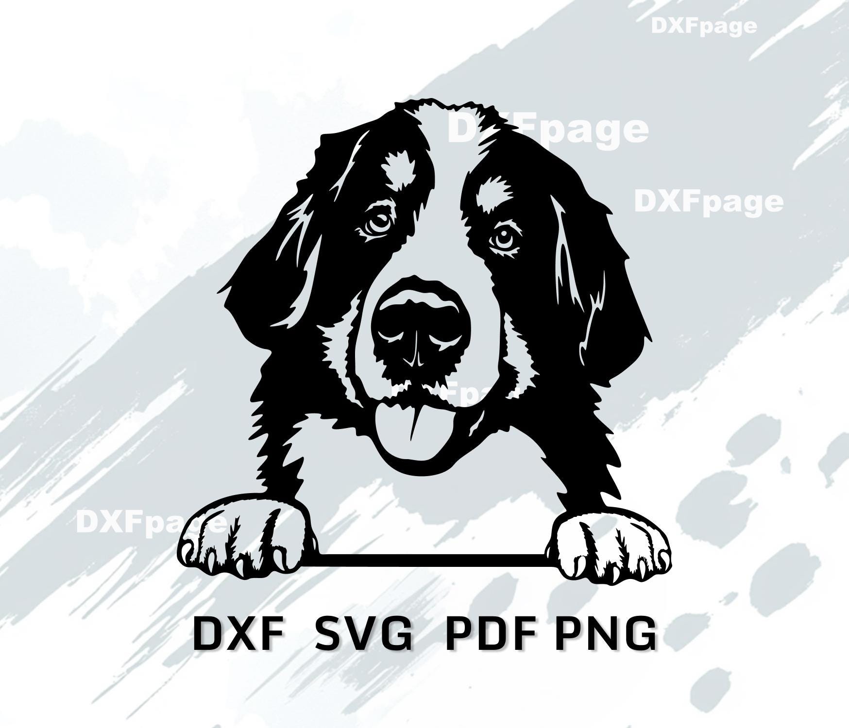 バーニーズマウンテンSVG、覗き見する犬のレーザーカットDXF、Cricut用